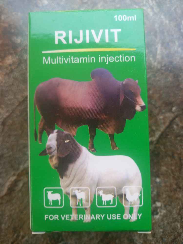 Rijvit Multivitamin Injection image - Mobimarket