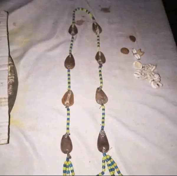 The most powerful native doctor in Africa +2349151785058 image - mobimarket