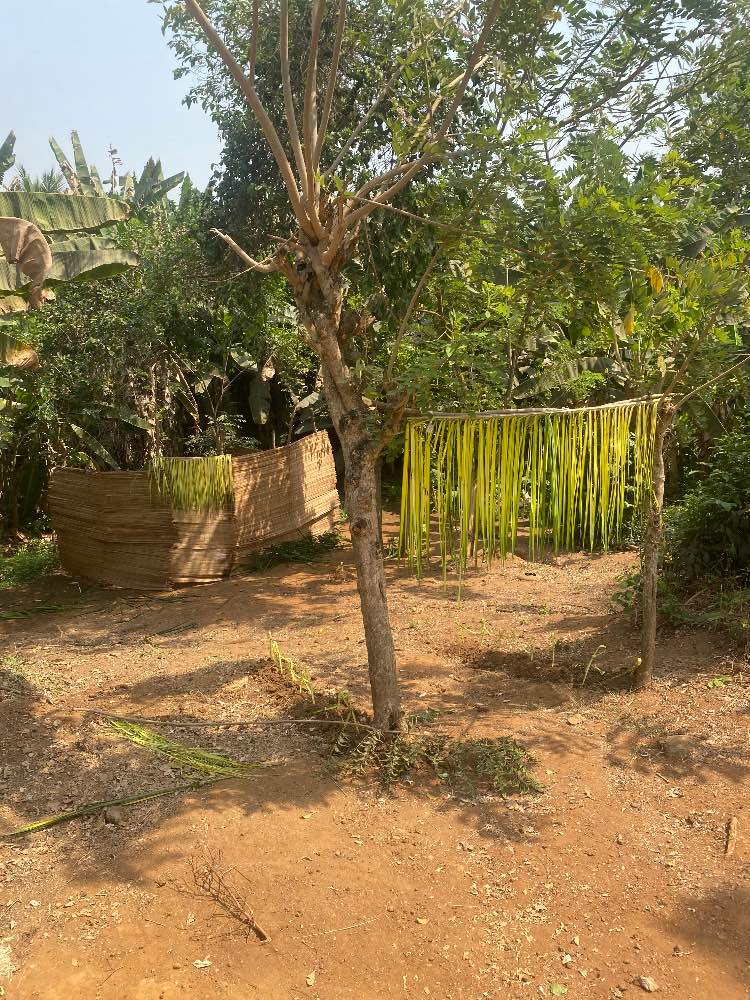 The most powerful native doctor in Nigeria image - mobimarket