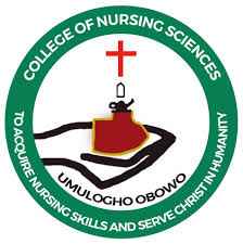 School of Nursing Umulogho, Obowo, Imo State 2026And2027 Session Admission Forms are on sales image - Mobiarket