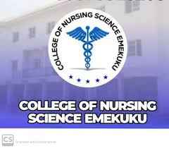 School of Nursing, Emekuku, Imo State 2026And2027 Session Admission Forms are on sales image - Mobiarket