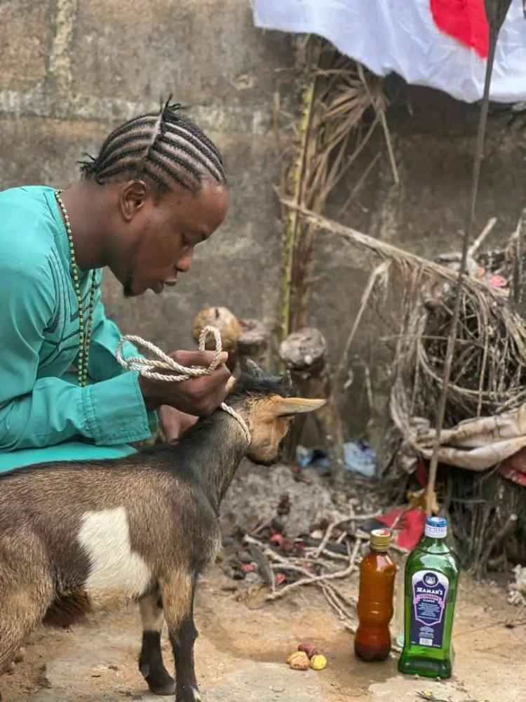 The Best Spiritual Powerful Herbalist In Nigeria image - mobimarket