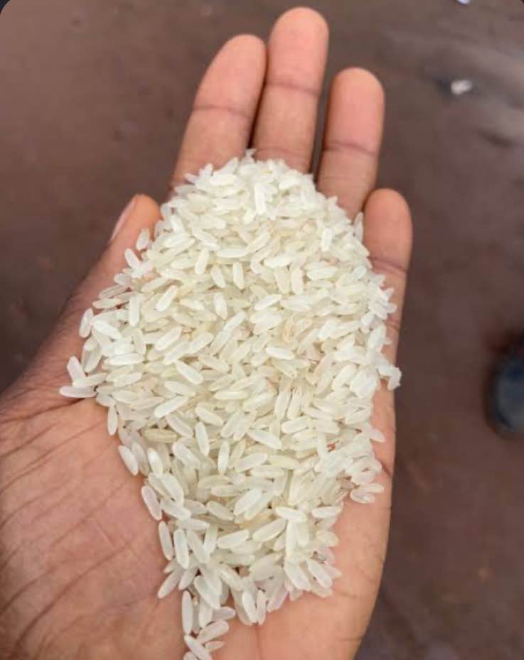Mango rice image - mobimarket