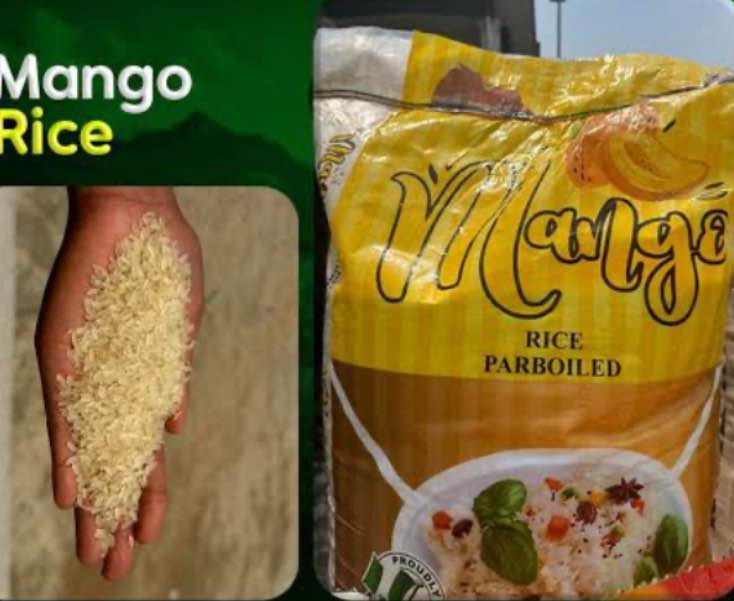 Mango rice image - mobimarket