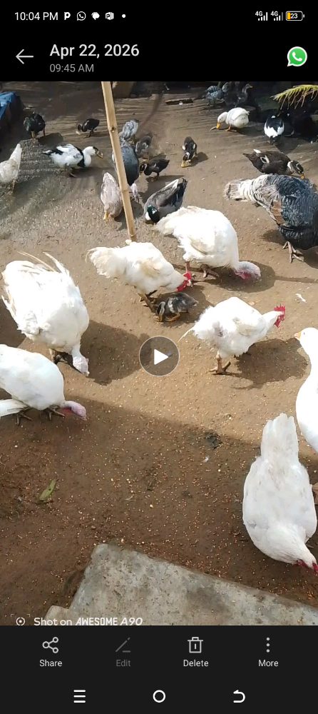Turkey image - mobimarket